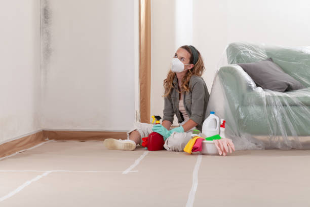 Reliable Commercial Mold Remediation contractor in Clarendon Hills, IL by 24 Hour Mold Removal